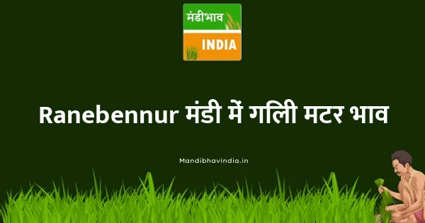 Wet Peas भाव